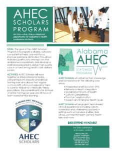 AHEC_Scholars_Statewide_Flyer_(1)